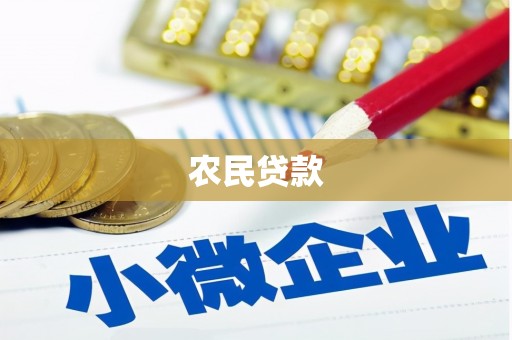 万源农民贷款