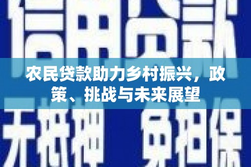 万源农民贷款助力乡村振兴，政策、挑战与未来展望