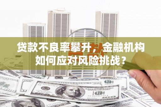 万源贷款不良率攀升，金融机构如何应对风险挑战？