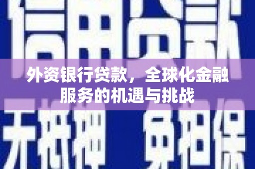 万源外资银行贷款，全球化金融服务的机遇与挑战