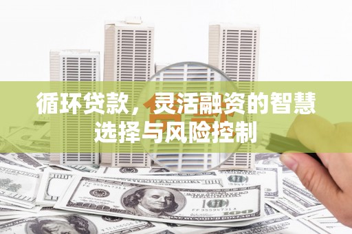 万源循环贷款，灵活融资的智慧选择与风险控制