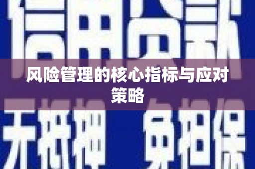万源风险管理的核心指标与应对策略