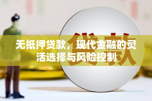 万源无抵押贷款，现代金融的灵活选择与风险控制