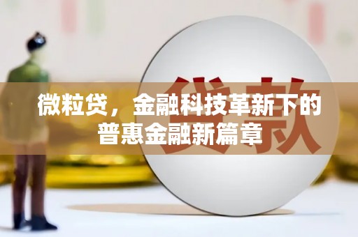 万源微粒贷，金融科技革新下的普惠金融新篇章