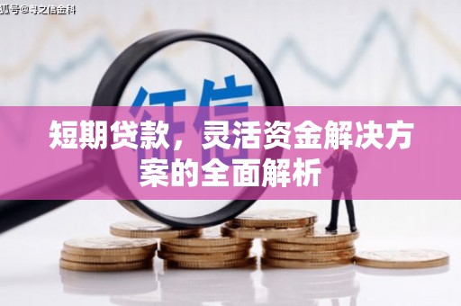 万源短期贷款，灵活资金解决方案的全面解析