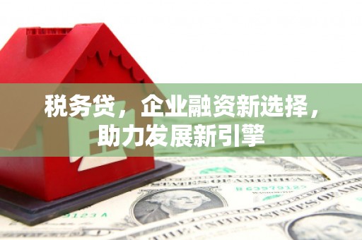 万源税务贷，企业融资新选择，助力发展新引擎