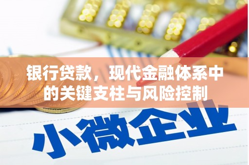 万源银行贷款，现代金融体系中的关键支柱与风险控制