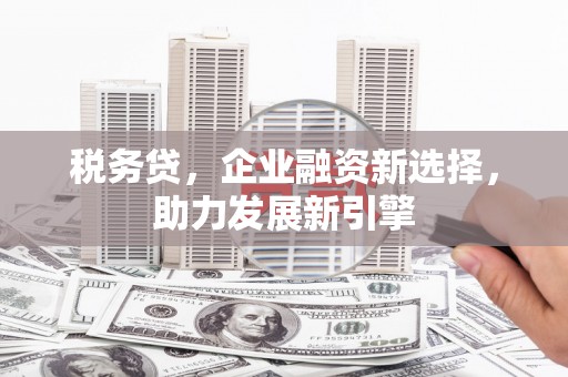 万源税务贷，企业融资新选择，助力发展新引擎