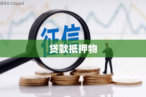 万源贷款抵押物