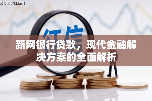 万源新网银行贷款，现代金融解决方案的全面解析