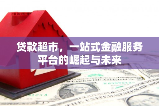万源贷款超市，一站式金融服务平台的崛起与未来