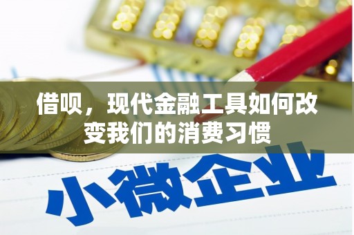 万源借呗，现代金融工具如何改变我们的消费习惯