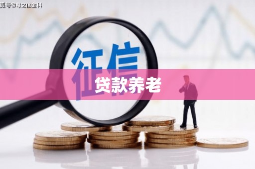 万源贷款养老