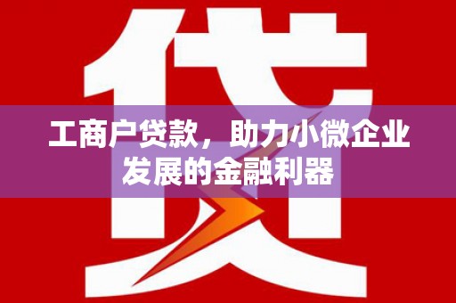 万源工商户贷款，助力小微企业发展的金融利器