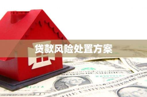 万源贷款风险处置方案