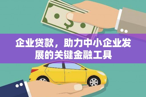 万源企业贷款，助力中小企业发展的关键金融工具