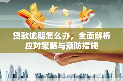 万源贷款逾期怎么办，全面解析应对策略与预防措施