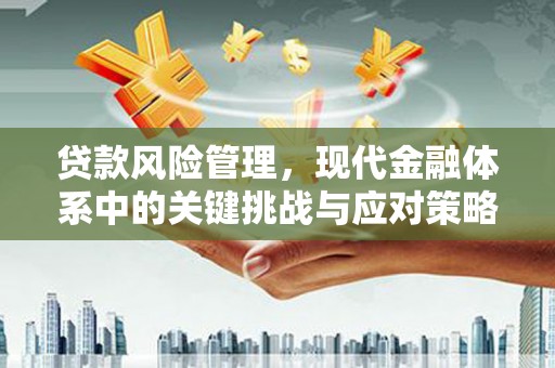 万源贷款风险管理，现代金融体系中的关键挑战与应对策略