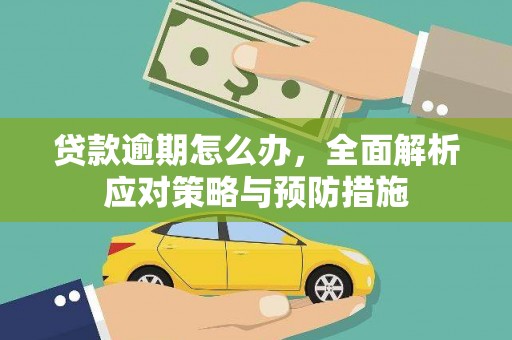 万源贷款逾期怎么办，全面解析应对策略与预防措施