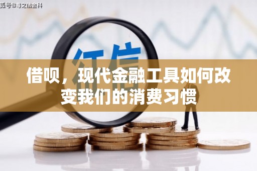 万源借呗，现代金融工具如何改变我们的消费习惯