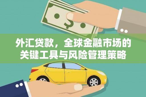 万源外汇贷款，全球金融市场的关键工具与风险管理策略