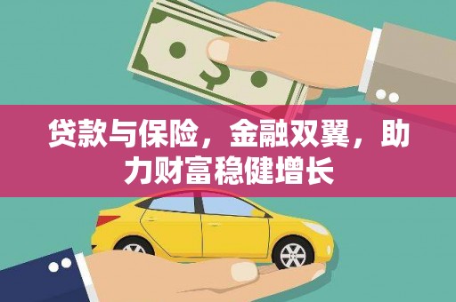 万源贷款与保险，金融双翼，助力财富稳健增长