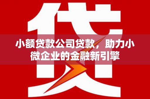 万源小额贷款公司贷款，助力小微企业的金融新引擎