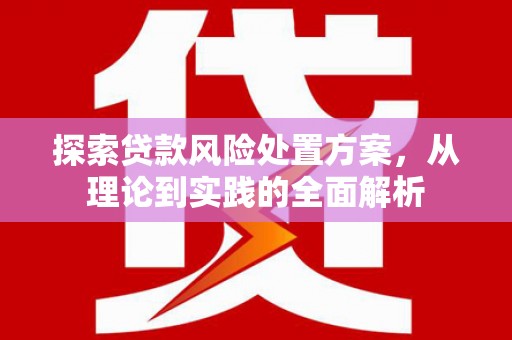万源探索贷款风险处置方案，从理论到实践的全面解析