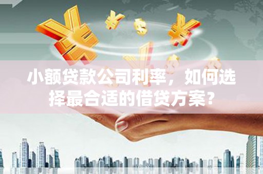 万源小额贷款公司利率，如何选择最合适的借贷方案？