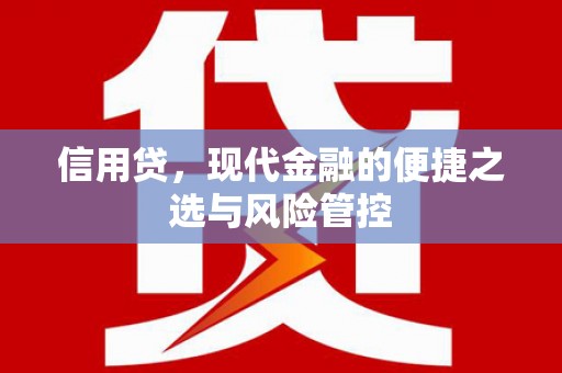 万源信用贷，现代金融的便捷之选与风险管控