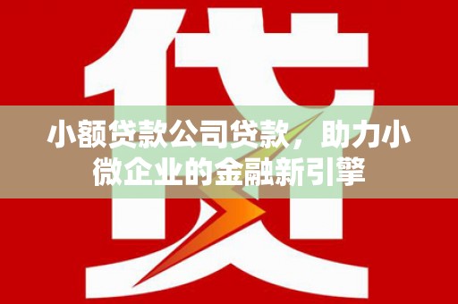万源小额贷款公司贷款，助力小微企业的金融新引擎