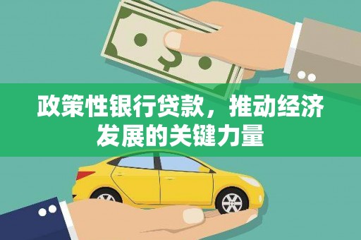 万源政策性银行贷款，推动经济发展的关键力量