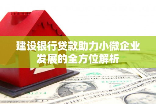 万源建设银行贷款助力小微企业发展的全方位解析