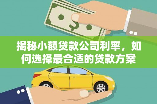万源揭秘小额贷款公司利率，如何选择最合适的贷款方案