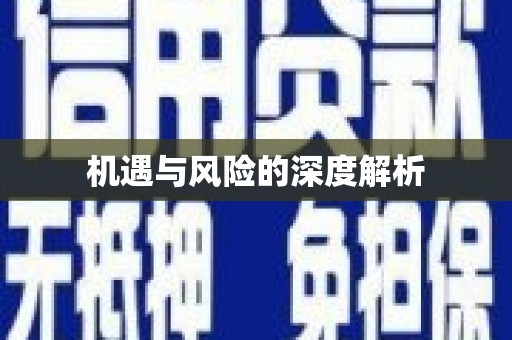万源机遇与风险的深度解析