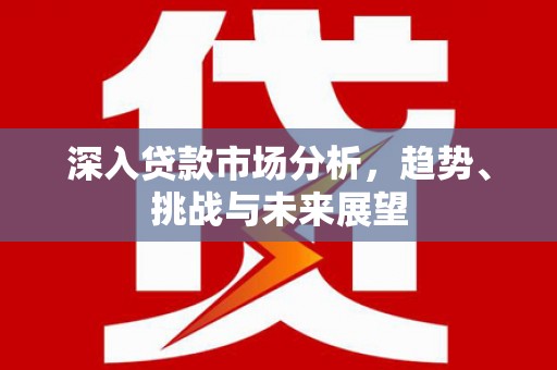 万源深入贷款市场分析，趋势、挑战与未来展望