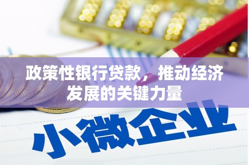 万源政策性银行贷款，推动经济发展的关键力量