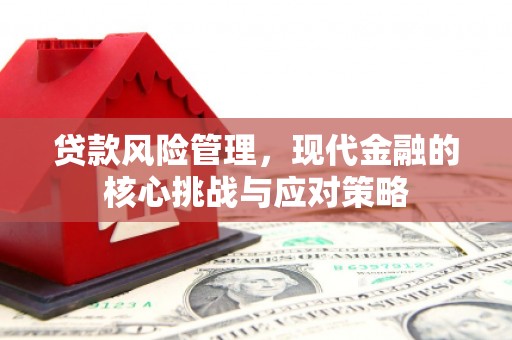 万源贷款风险管理，现代金融的核心挑战与应对策略