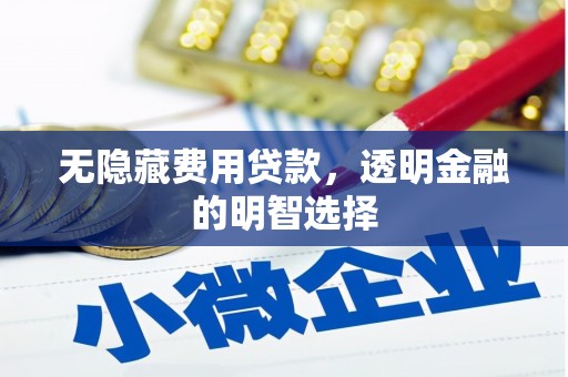 万源无隐藏费用贷款，透明金融的明智选择