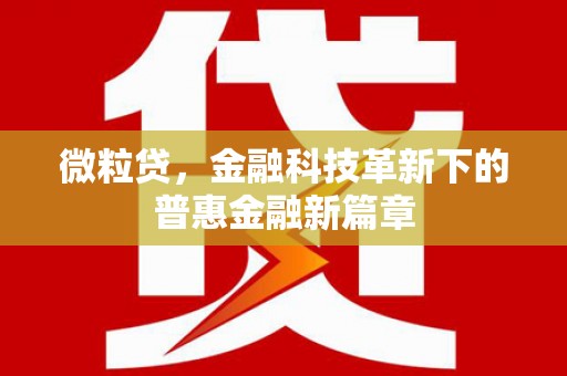 万源微粒贷，金融科技革新下的普惠金融新篇章