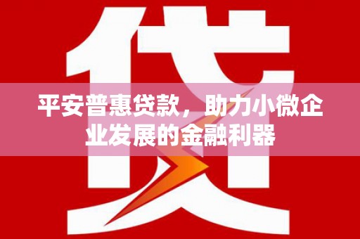 万源平安普惠贷款，助力小微企业发展的金融利器