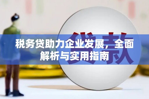 万源税务贷助力企业发展，全面解析与实用指南