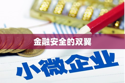 万源金融安全的双翼