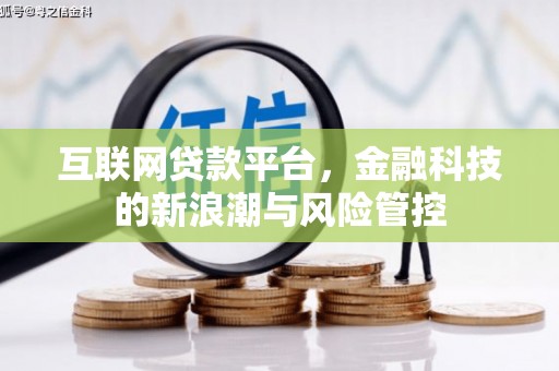 万源互联网贷款平台，金融科技的新浪潮与风险管控