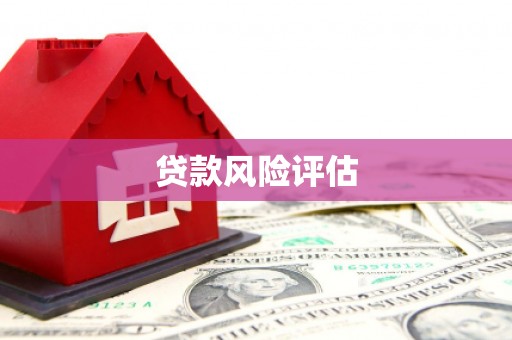 万源贷款风险评估