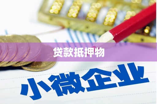 万源贷款抵押物