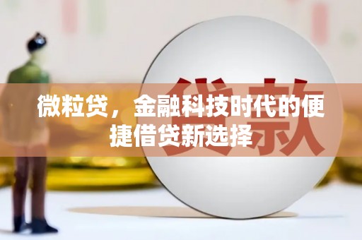万源微粒贷，金融科技时代的便捷借贷新选择
