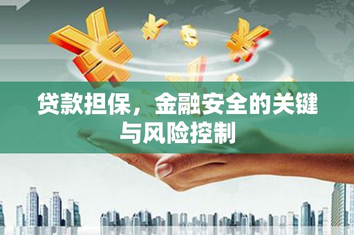 万源贷款担保，金融安全的关键与风险控制