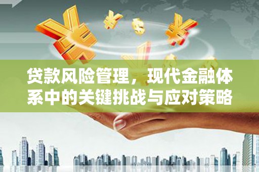万源贷款风险管理，现代金融体系中的关键挑战与应对策略