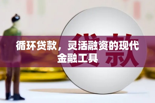 万源循环贷款，灵活融资的现代金融工具